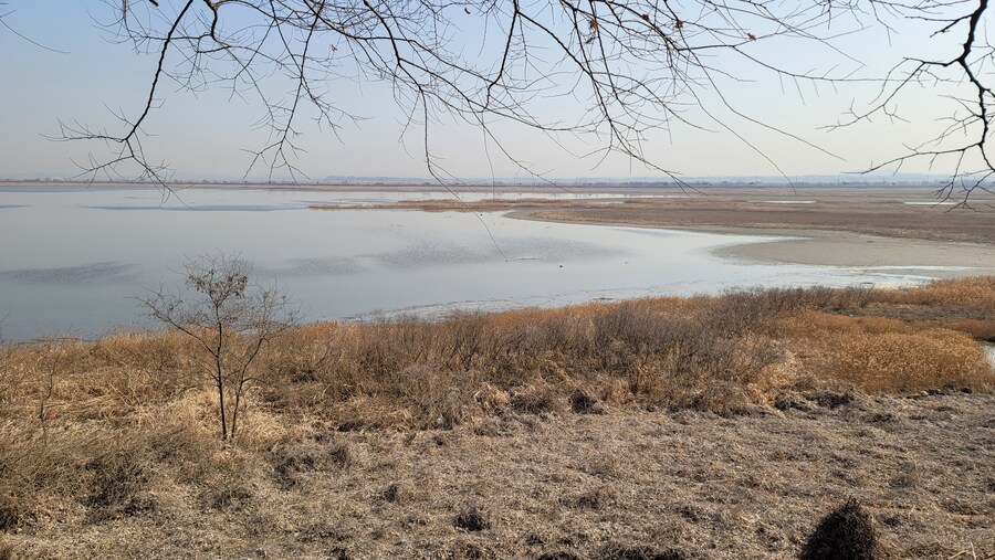 뒤늦게 올리는 3월 화성호 탐조_92.jpg