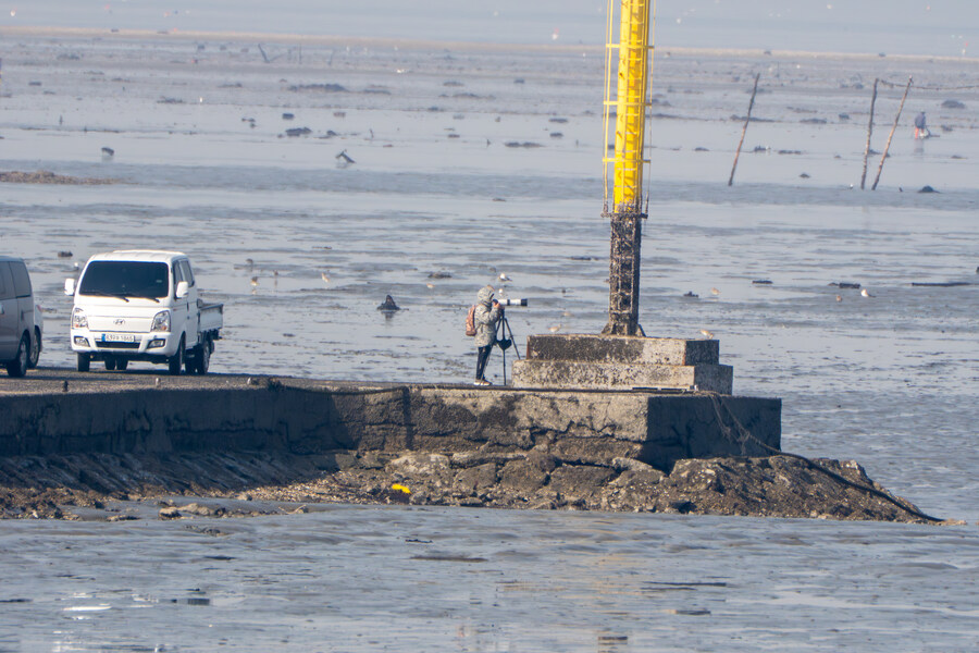 뒤늦게 올리는 3월 화성호 탐조_101.jpg