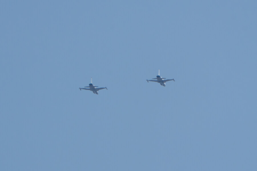 뒤늦게 올리는 3월 화성호 탐조_103.jpg