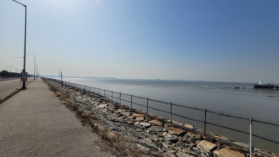 뒤늦게 올리는 3월 화성호 탐조_104.jpg