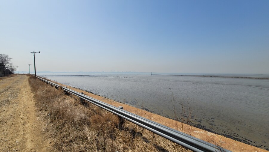 뒤늦게 올리는 3월 화성호 탐조_112.jpg