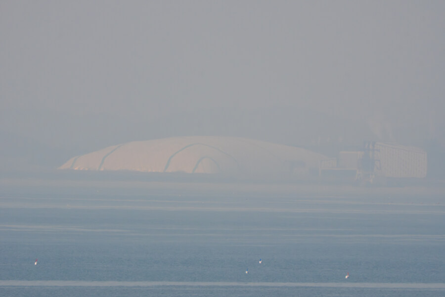 뒤늦게 올리는 3월 화성호 탐조_114.jpg