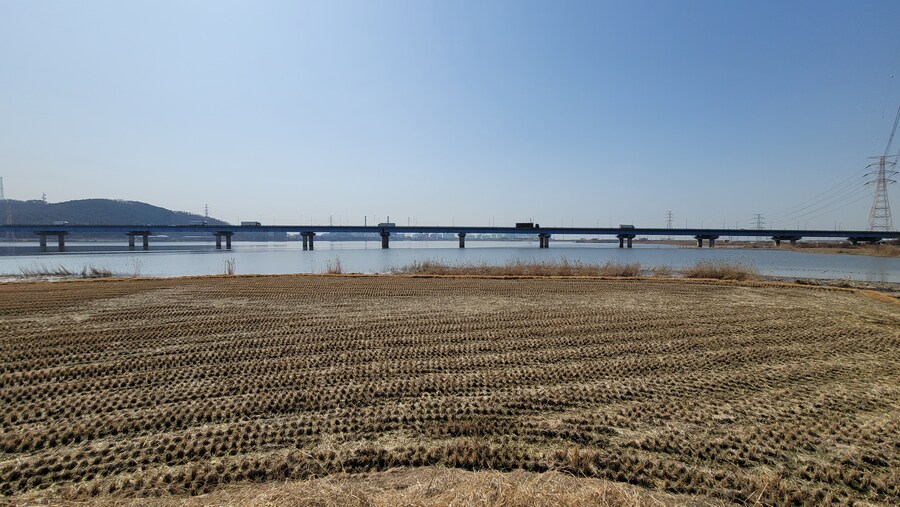 뒤늦게 올리는 3월 화성호 탐조_123.jpg