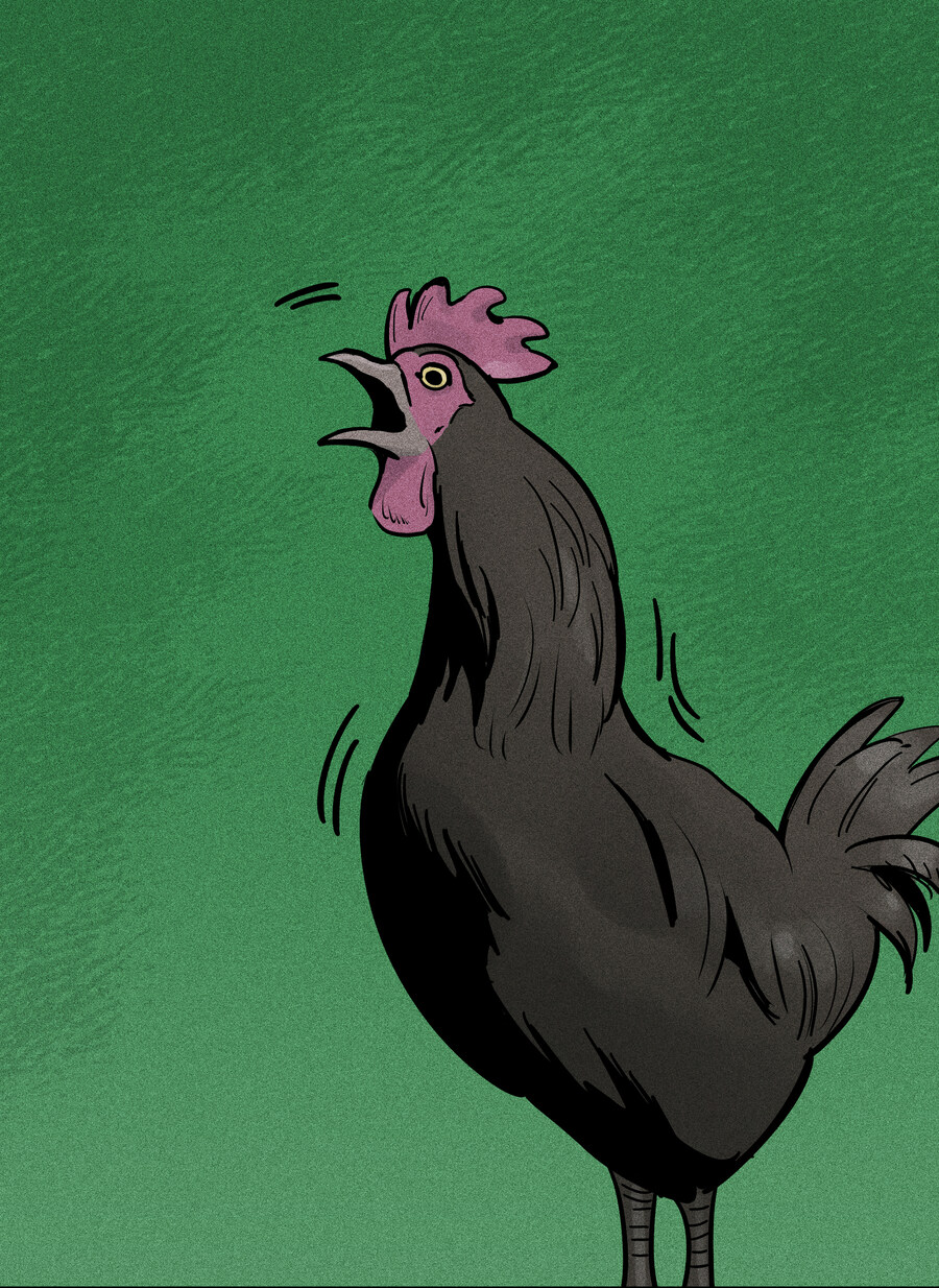 닭이 천국에 가는 만화_1.jpg