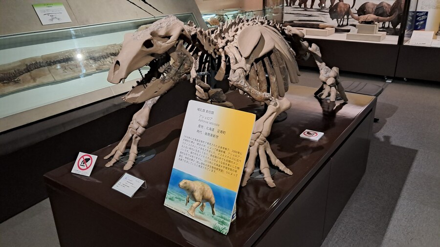 나홀로 삿포로 여행 2부(스압 주의)_37.jpg