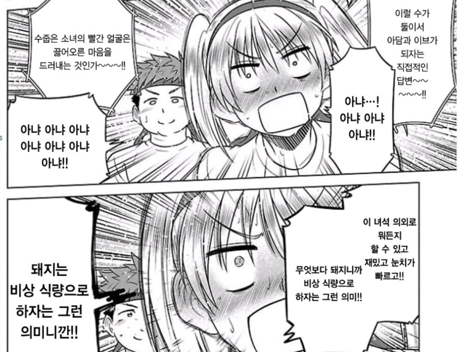 무인도에 뚱뚱한 애를 데려가고 싶은 이유_3.jpg