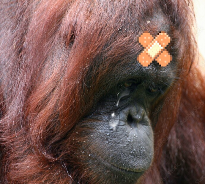 마비m) ㅋㅋㅋ 시발 뭔일인가 하고 쭉 읽어보니_5.png