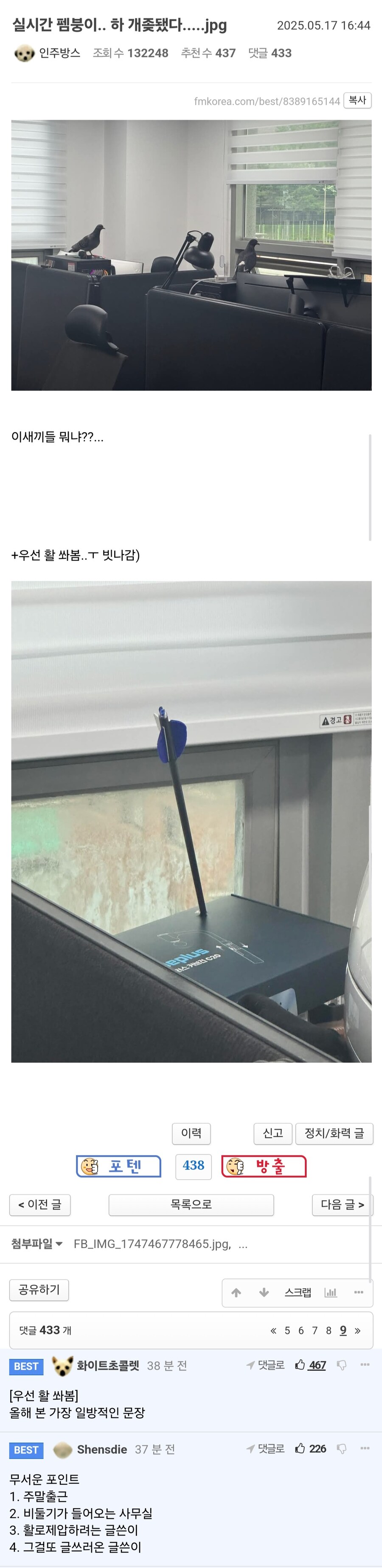 실시간 개좇된 펨코유저.jpg_1.jpg