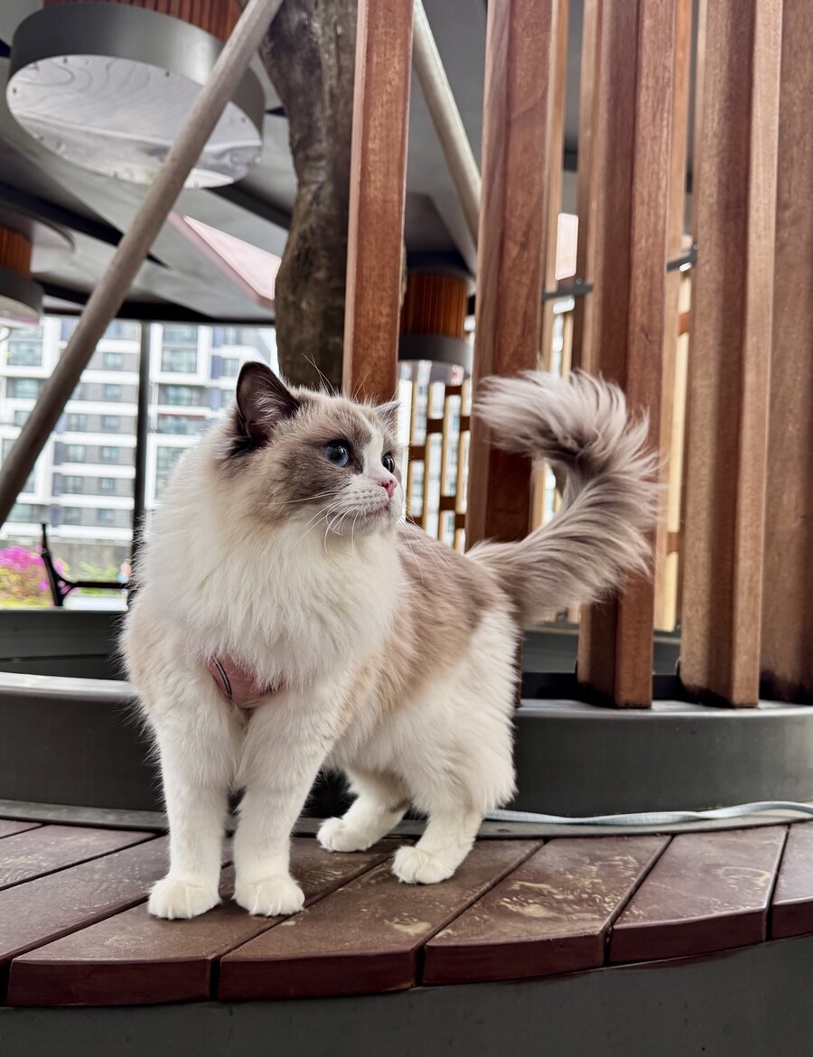 5월의 록희!_2.jpg