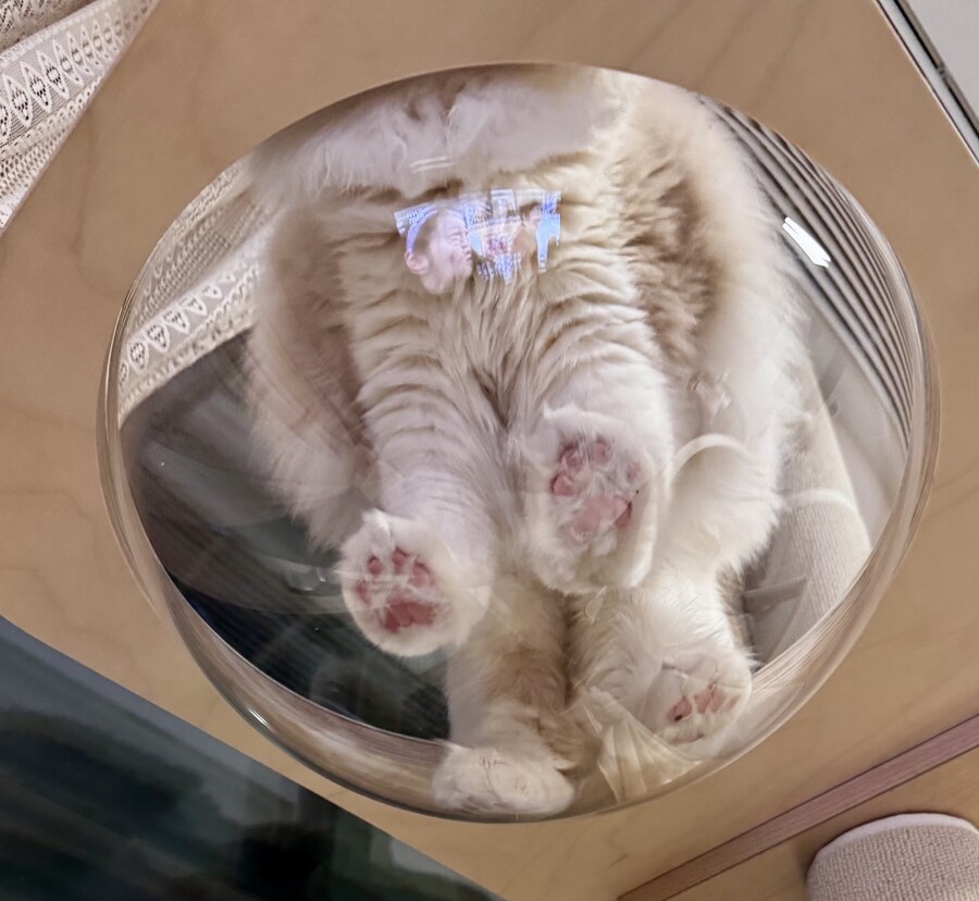 5월의 록희!_9.jpg