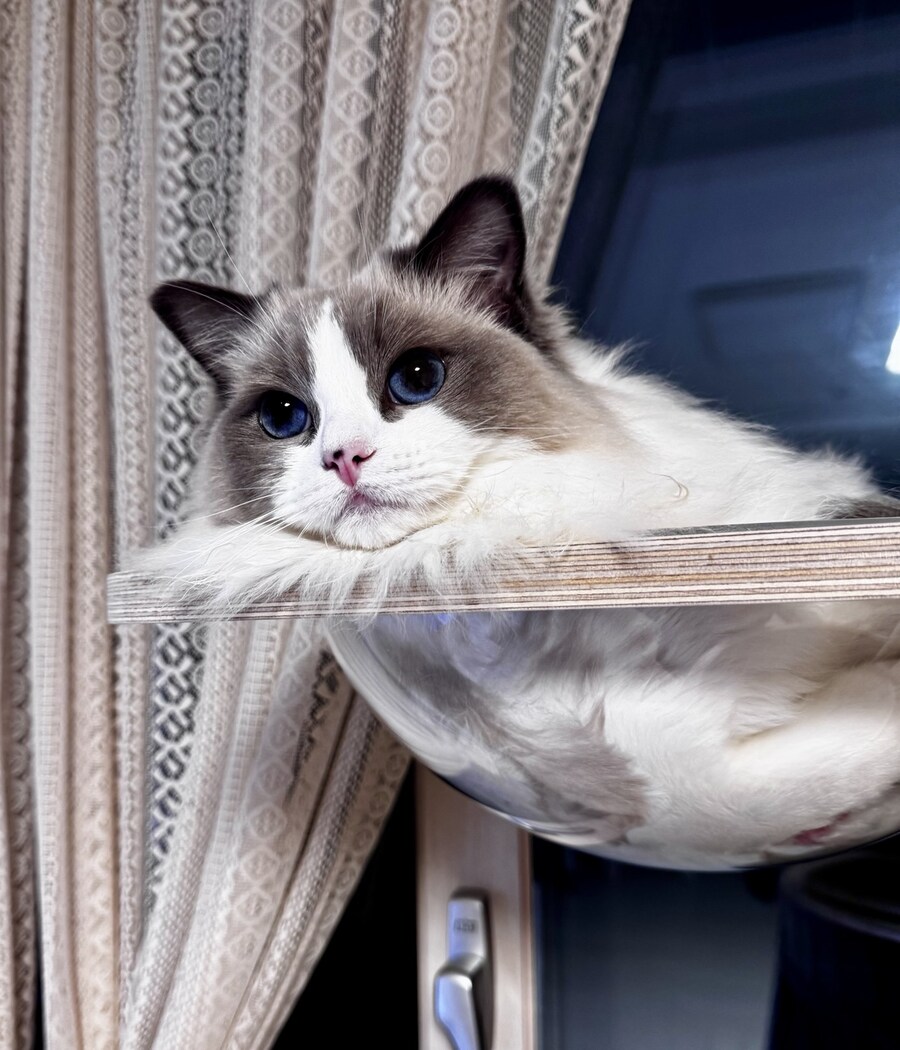 5월의 록희!_11.jpg