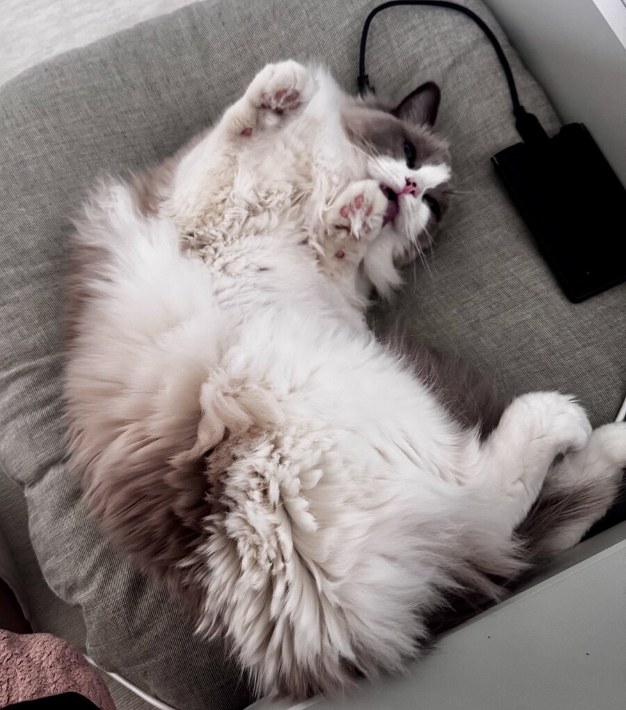 5월의 록희!_13.jpg