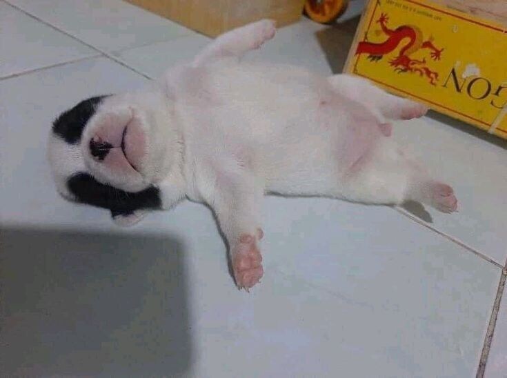 대학 새내기 mt_4.jpg