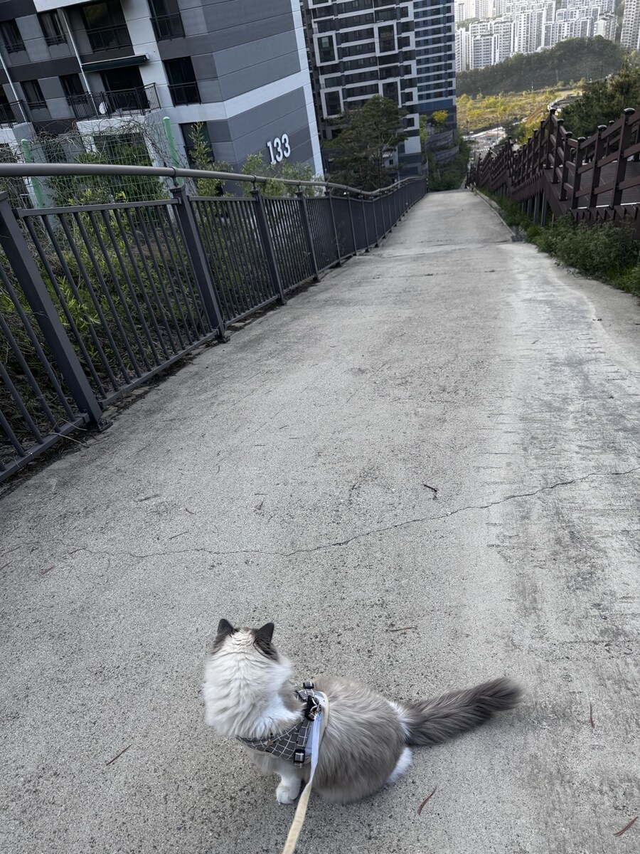 5월의 록희!_5.jpg