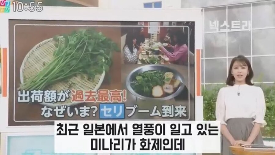 일본에서 미나리 가격이 오르고 있는 이유_2.jpg