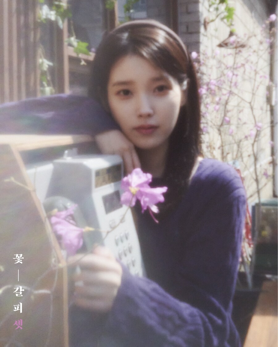 꽃갈피 큰 거 온다_5.jpg