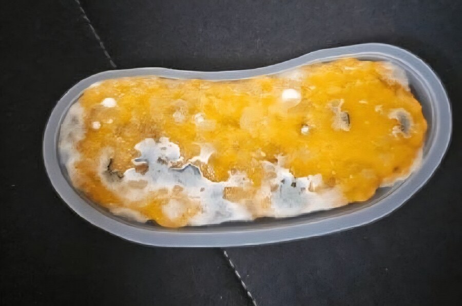 “빽다방 디저트서 곰팡이 나와”…더본 “진심으로 사과”_1.jpg
