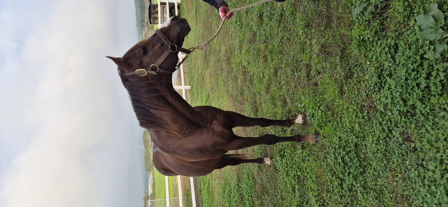 말딸 혈통) ?? : "저희 고모가 이쁘긴 하죠."_2.jpg