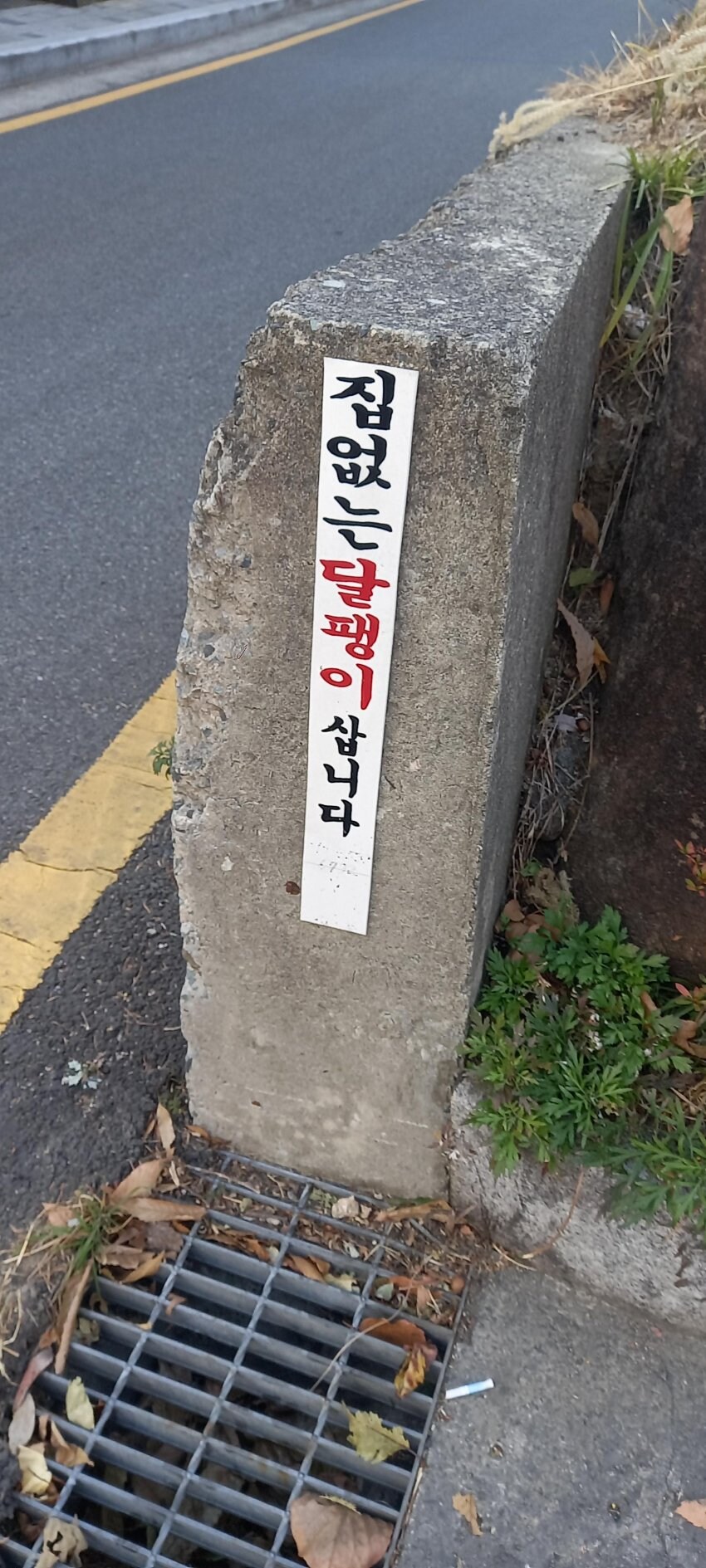 집없는 달팽이 삽니다_3.jpg