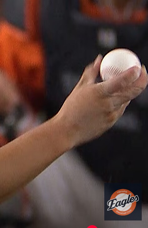 한화이글스) 승리를 이끄는 닭발 그립.._1.png