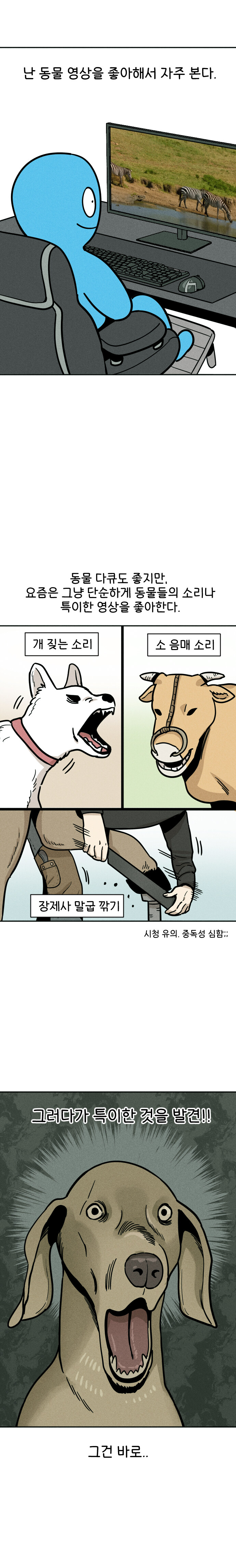 개털 특이한 점_2.jpg