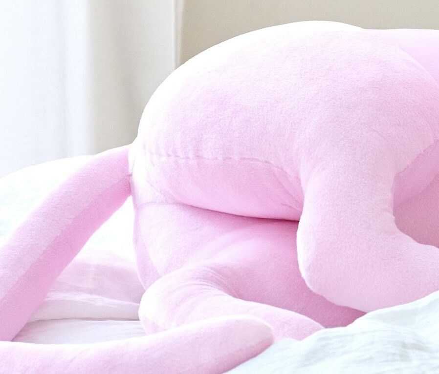 이브이즈 등신대 인형 근황_2.jpg