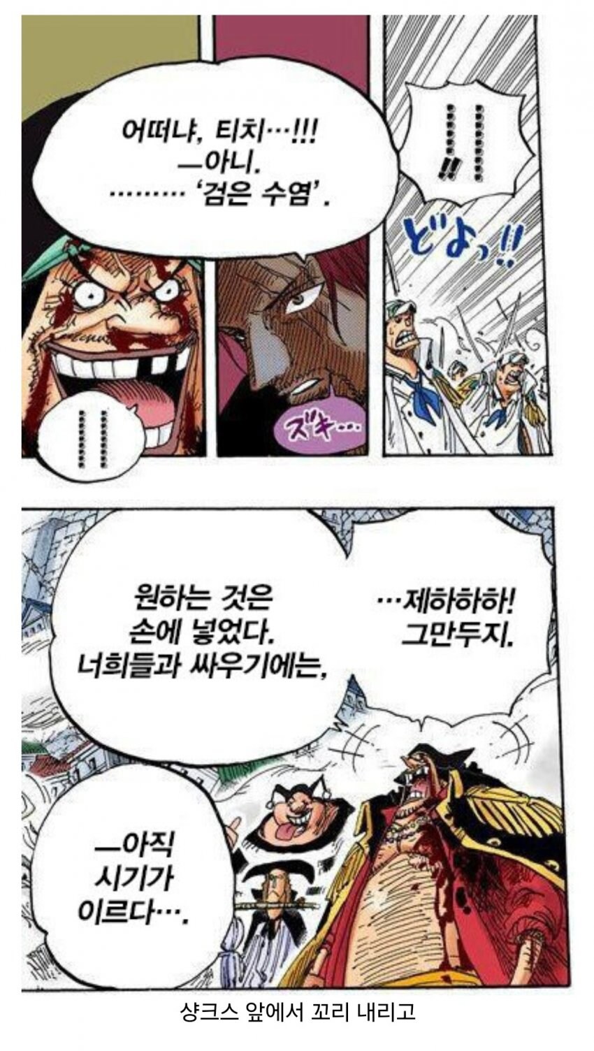 전투력 강한지 의문인 원피스 빌런 캐릭터.jpg_4.jpg