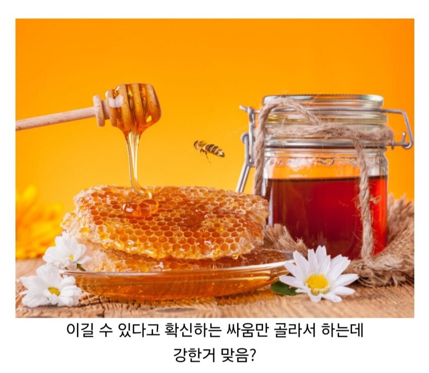 전투력 강한지 의문인 원피스 빌런 캐릭터.jpg_8.jpg