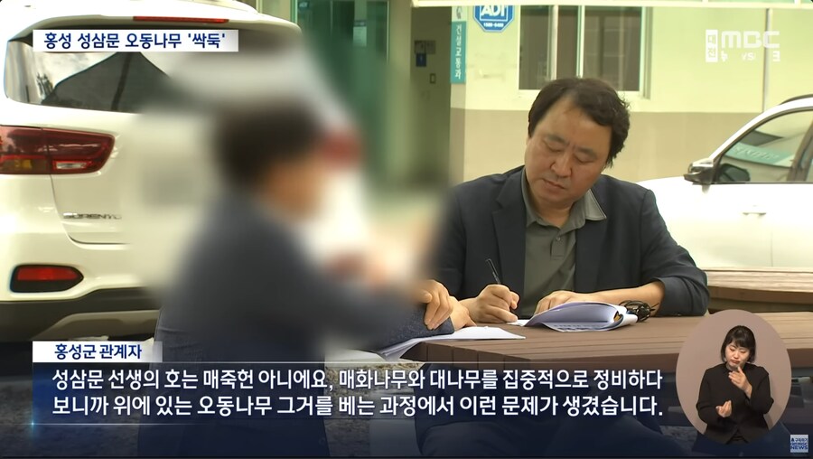 성삼문 오동나무 싹뚝, 홍성군 "역사 몰랐다"_5.png