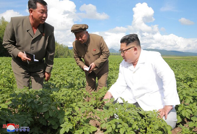 의외로 공산귀족이 자본주의 덕분에 탄생한 이유_1.png