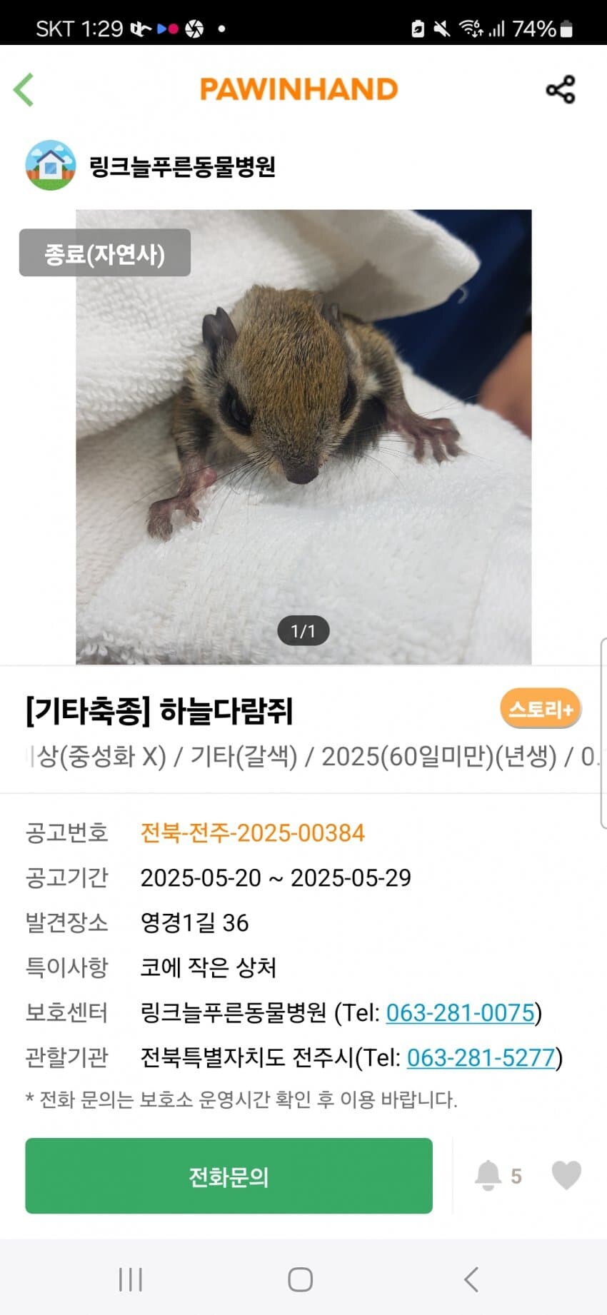 흔한 유기동물 보호소의 입양 공고_1.jpg