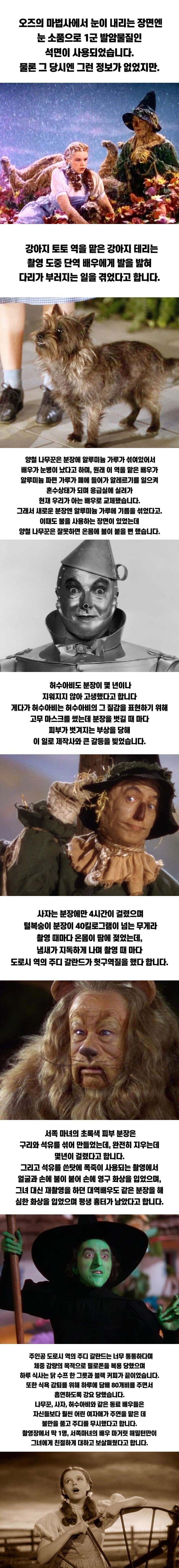 파도파도 괴담만 나오는 영화_1.jpg