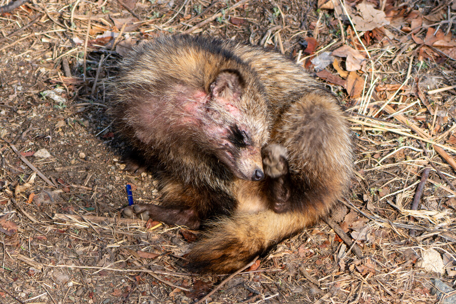 3월달 서서울호수공원 탐조_8.jpg