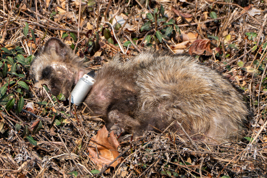 3월달 서서울호수공원 탐조_9.jpg