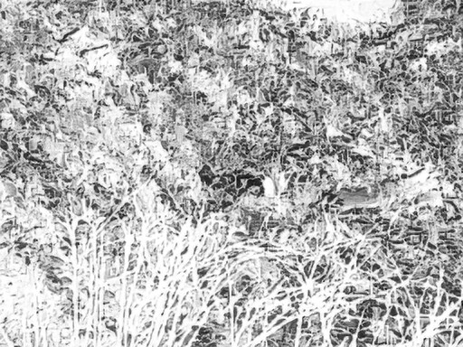 3월달 서서울호수공원 탐조_10.jpg