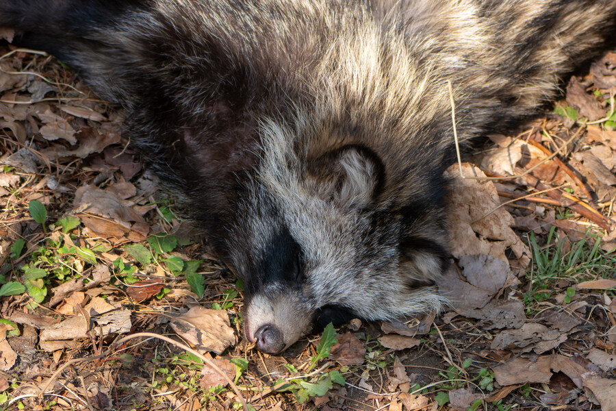 3월달 서서울호수공원 탐조_12.jpg