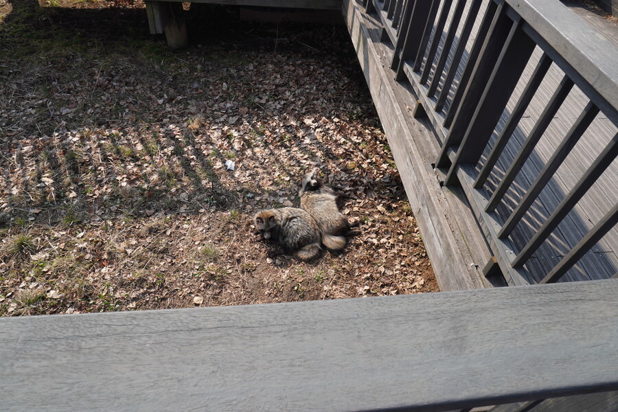 3월달 서서울호수공원 탐조_13.jpg