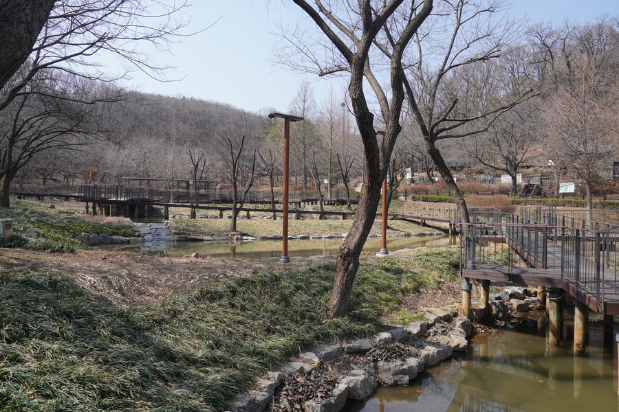 3월달 서서울호수공원 탐조_28.jpg