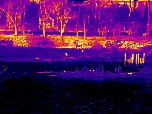 3월달 서서울호수공원 탐조_47.jpg