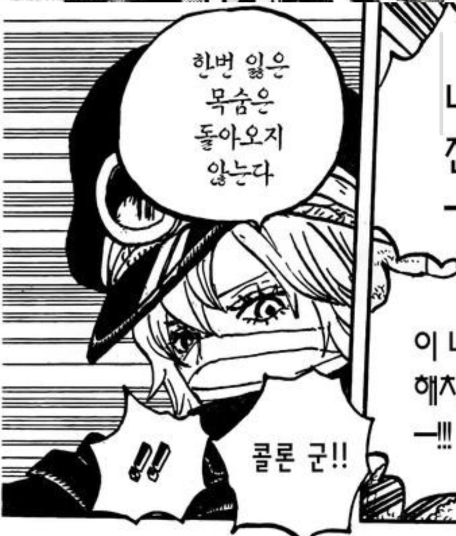 원피스)군코 디자인 자체도 브룩이랑 연계되는구나.._5.jpg