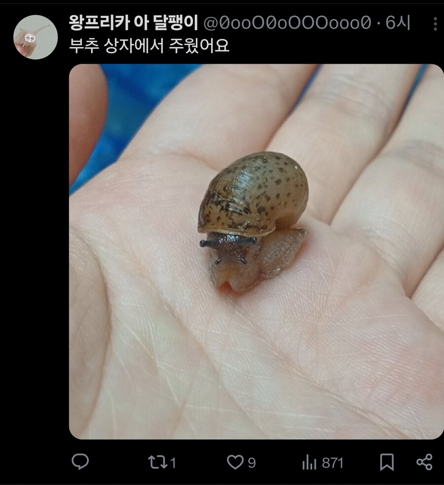 손님에게 귀엽다고 보여드렸더니 먹어버렸어요._1.jpg