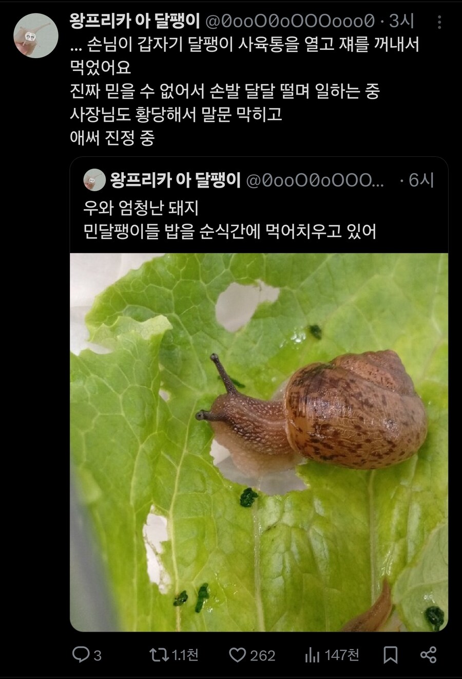 손님에게 귀엽다고 보여드렸더니 먹어버렸어요._3.jpg
