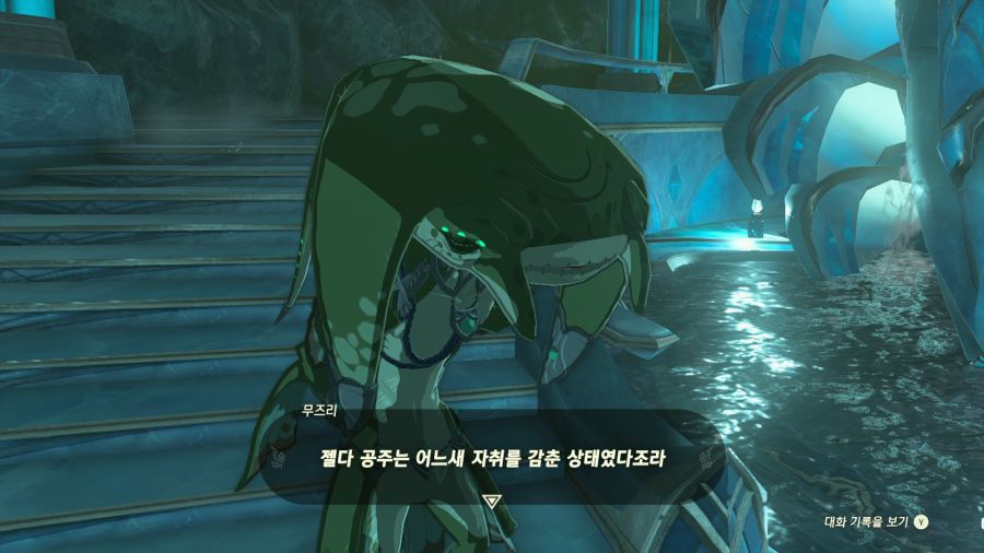 젤다의 전설 티어즈 오브 더 킹덤_5.png