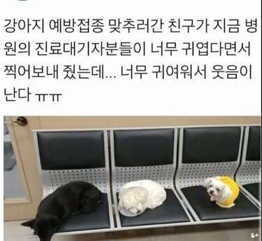 어느 병원 질서있는 진료대기줄.jpg_1.jpg