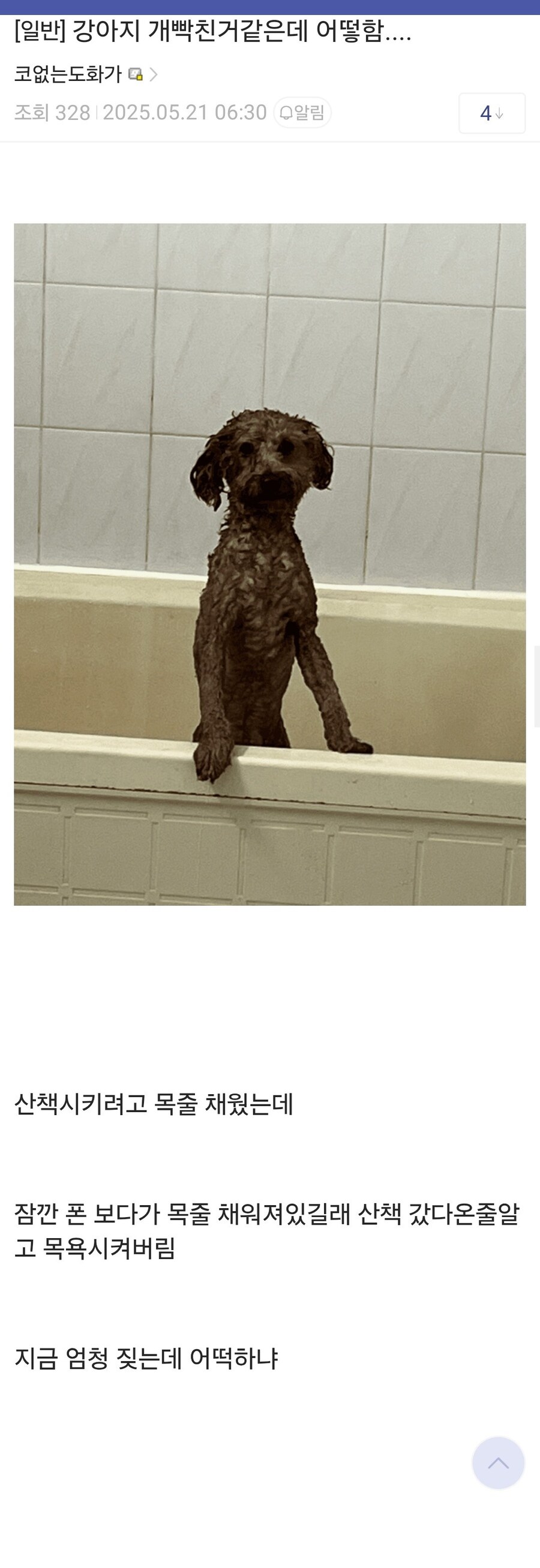 adhd 갤러리 레전드.jpg_1.jpg