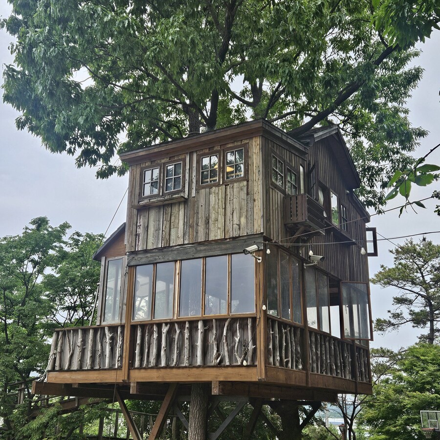 친구 아빠가 만든 트리하우스 ㄷㄷ.jpg_2.jpg