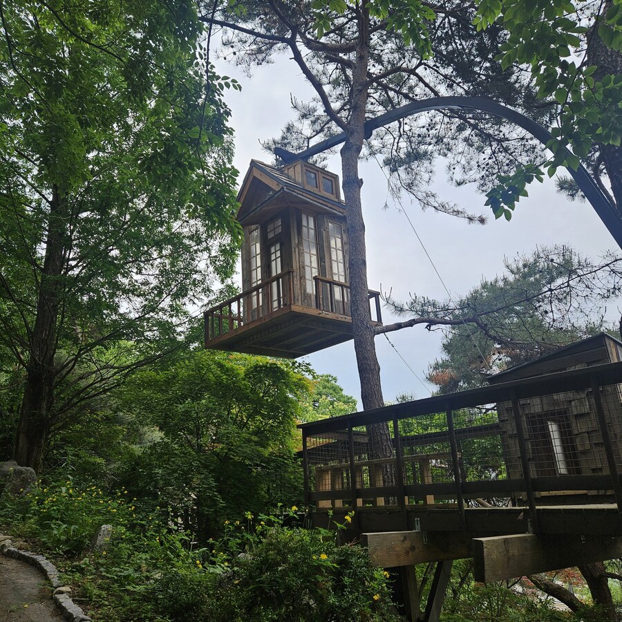친구 아빠가 만든 트리하우스 ㄷㄷ.jpg_9.jpg