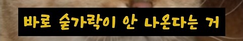 일본은 숟가락을 사용하지 않는다 -> 왜?_3.png