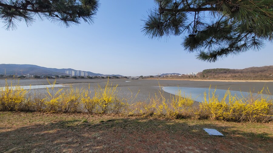 4월, 영종도 탐조_77.jpg