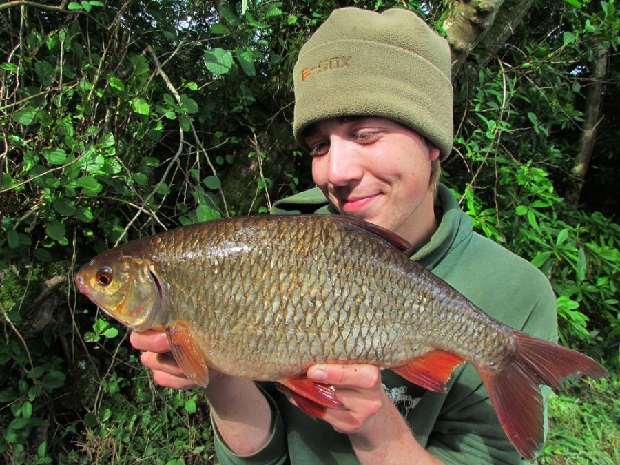 폴란드군이 만족한 한국산 장비를 보고 깨달은 의외의 사실_4.jpg
